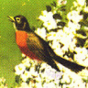 Meet your Posher, Jennie